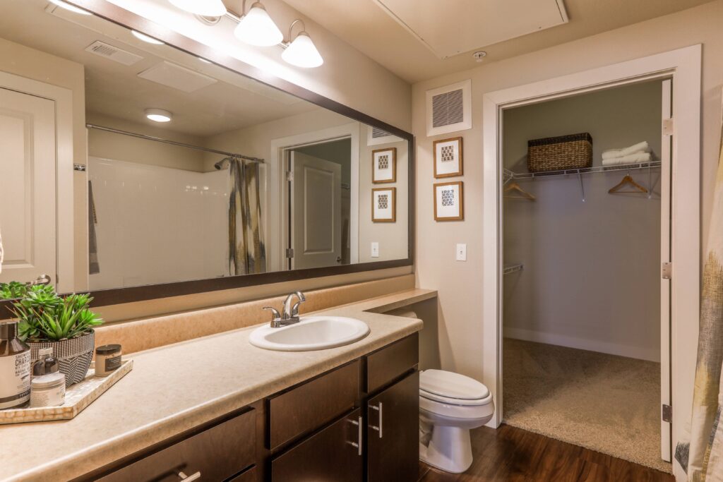 Bathroom with walk in closet